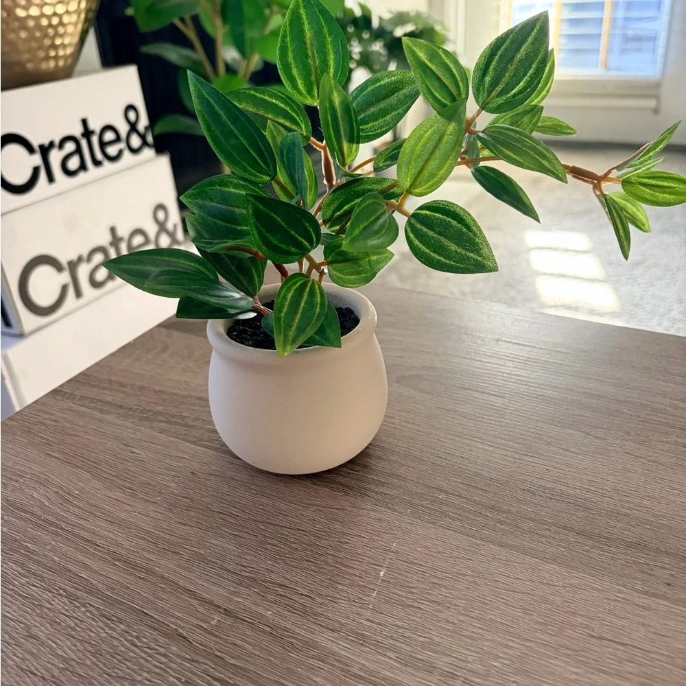 Faux Tabletop Green Plant in Beige Ceramic Pot